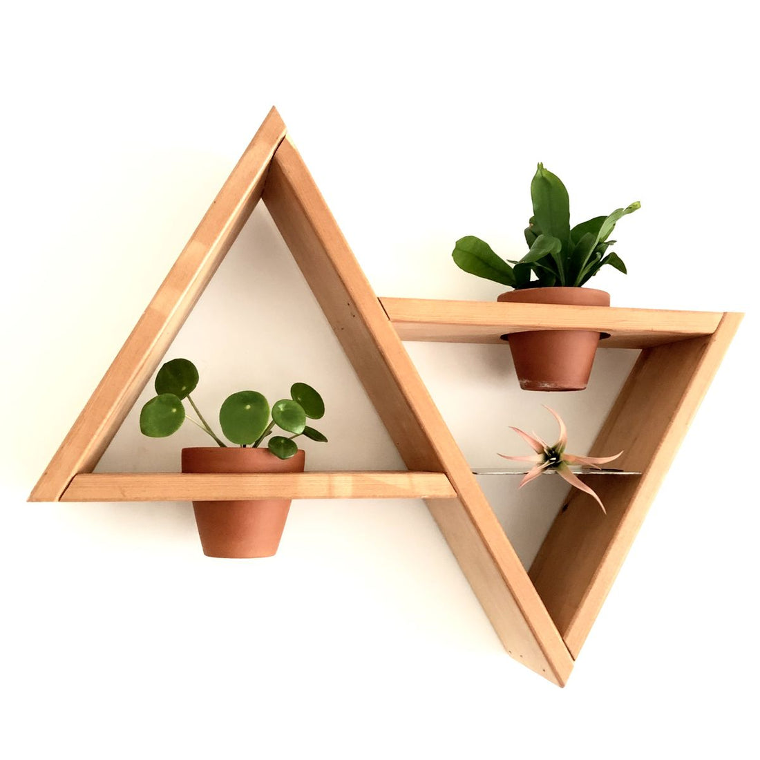 “Why Choose Meranti Wood for Your Home Decor?”